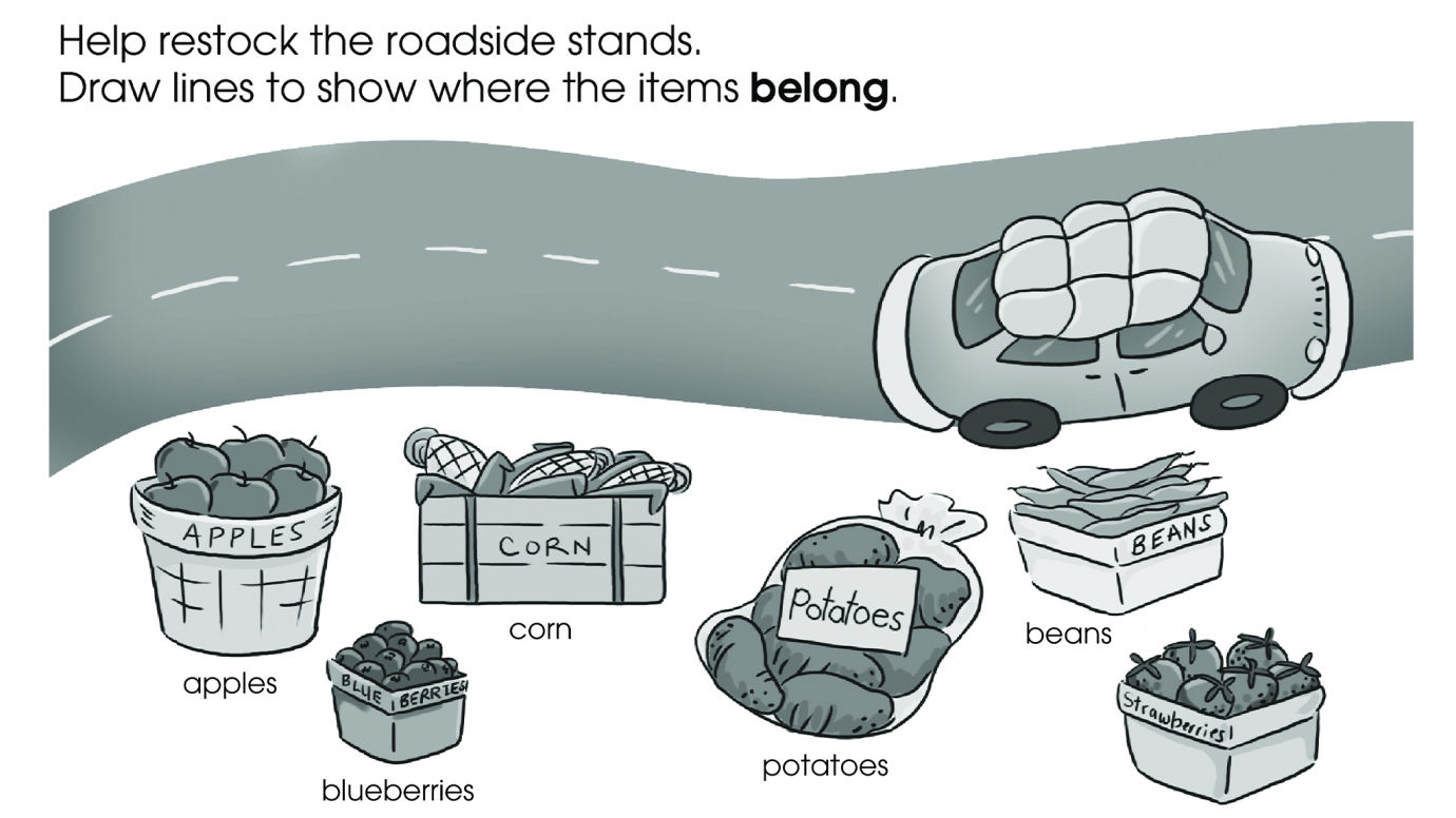 Sorting: Where Does It Belong?