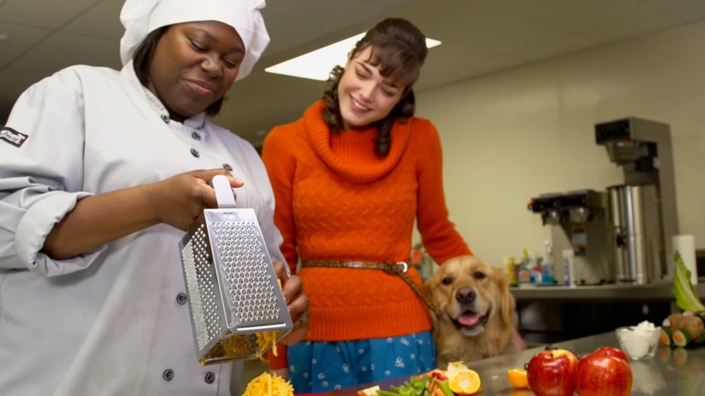 K9 Kitchen