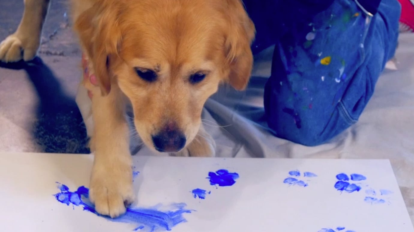 Paw Painting