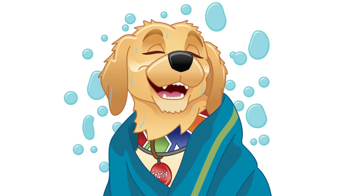 Wet Dog