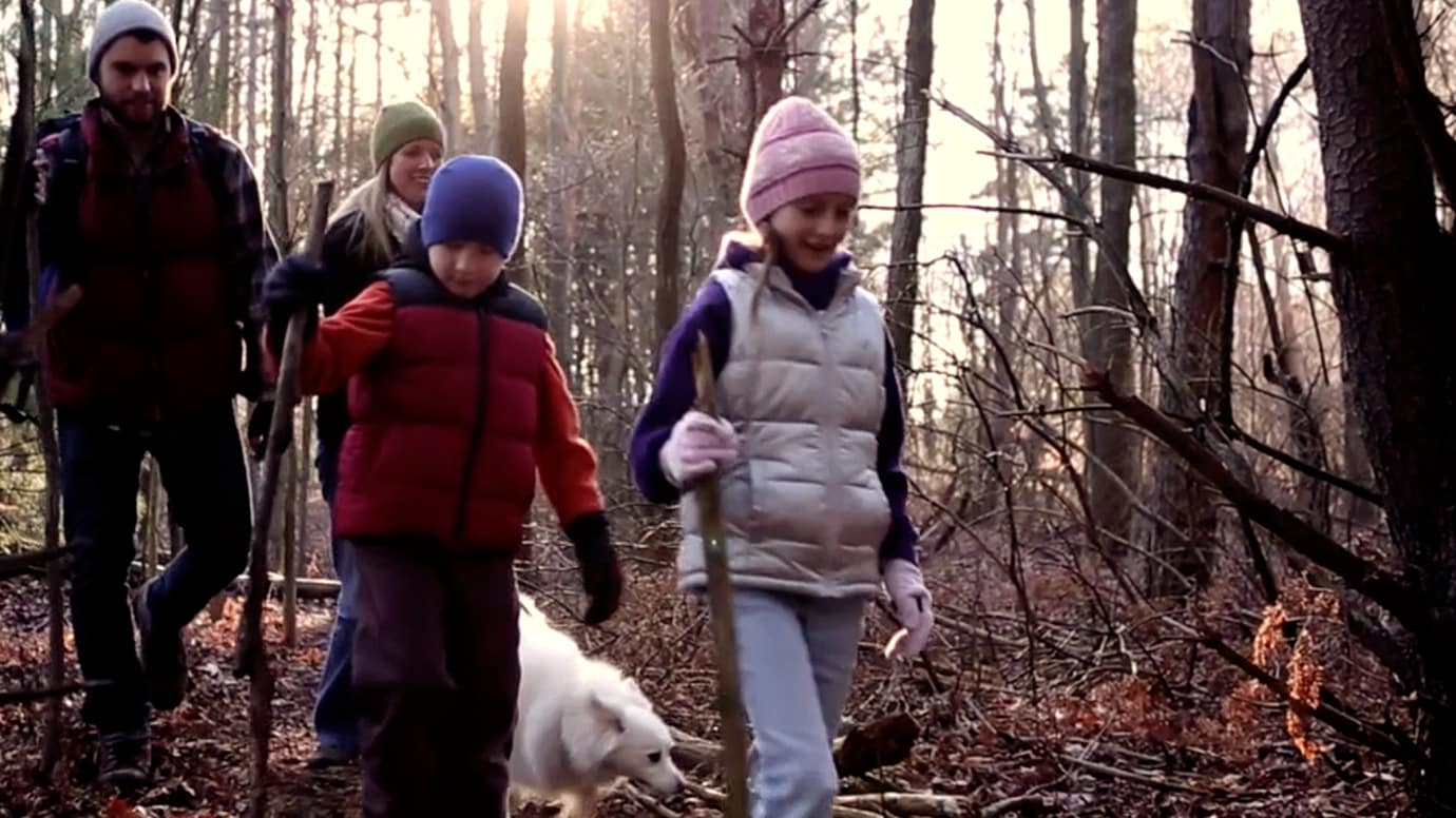 Wonderful Walk in the Woods