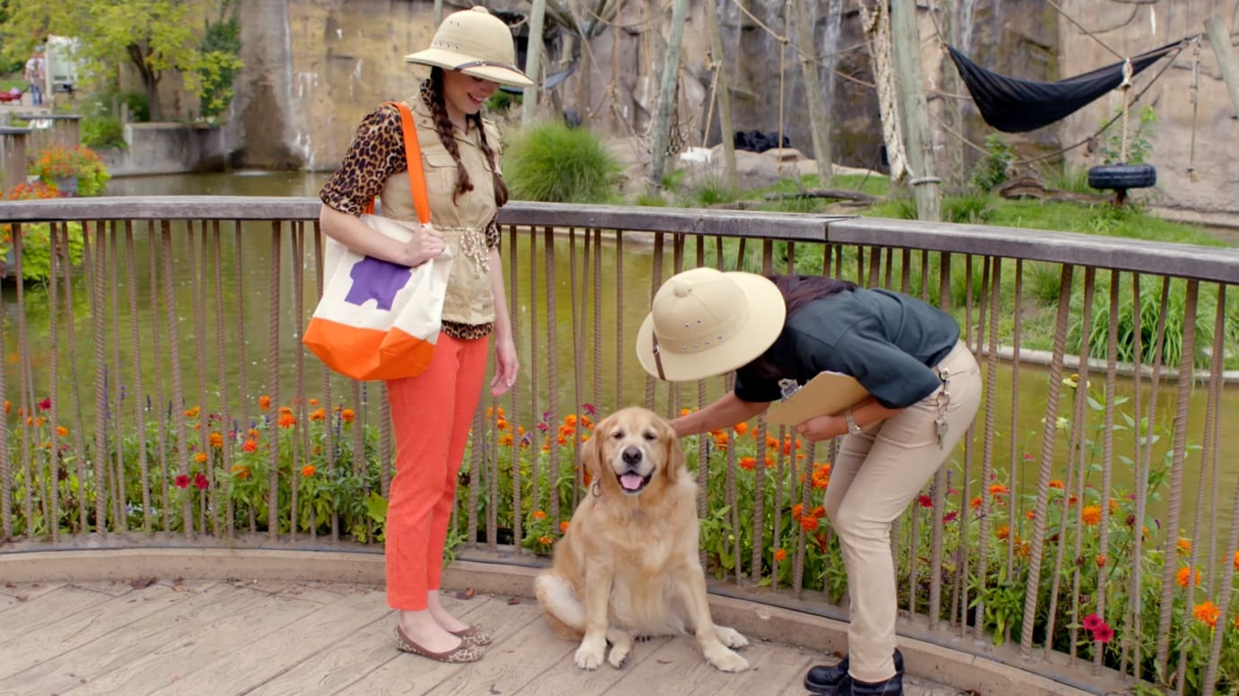 Zoo Tales