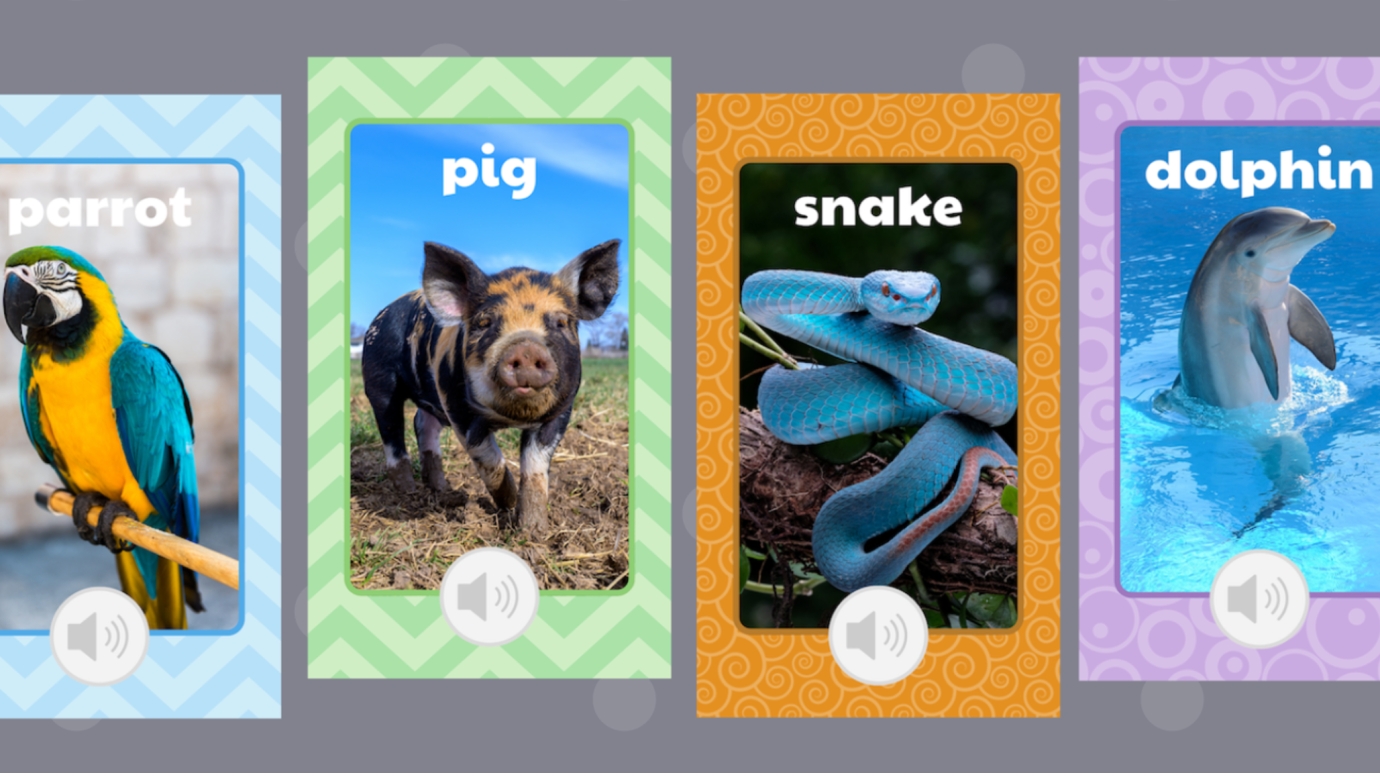 Animal Sounds Flash Cards