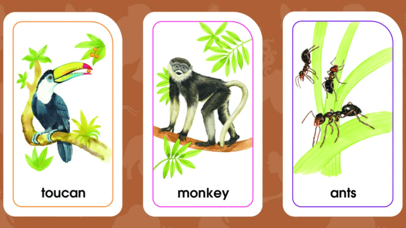 Animals of All Kinds Flash Cards