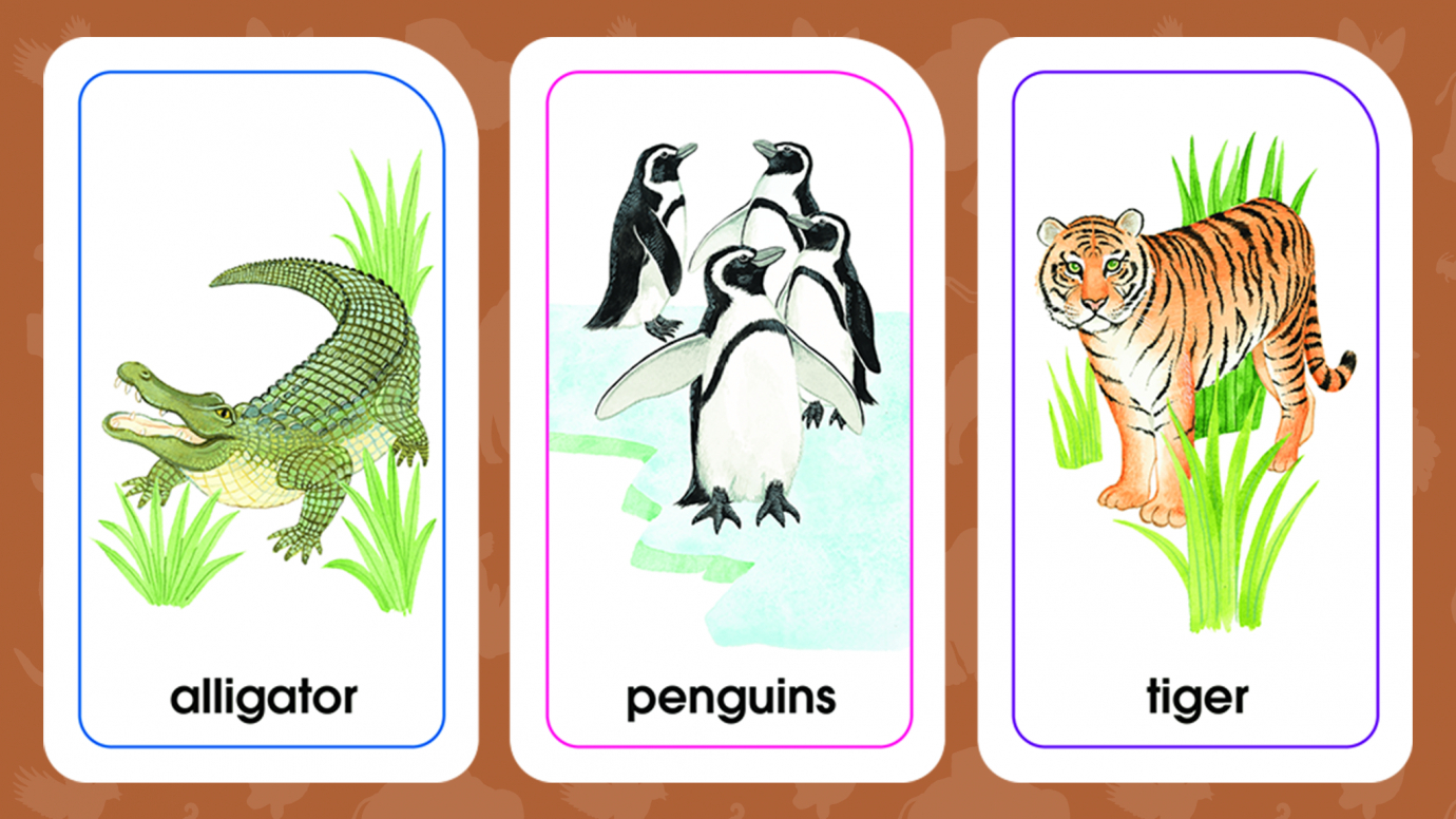 Animals of All Kinds Flash Cards: Preschool