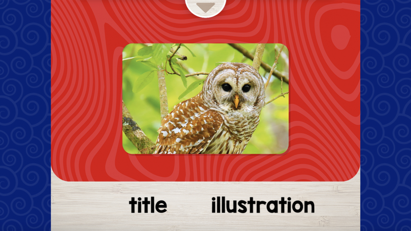 Book Basics Nonfiction