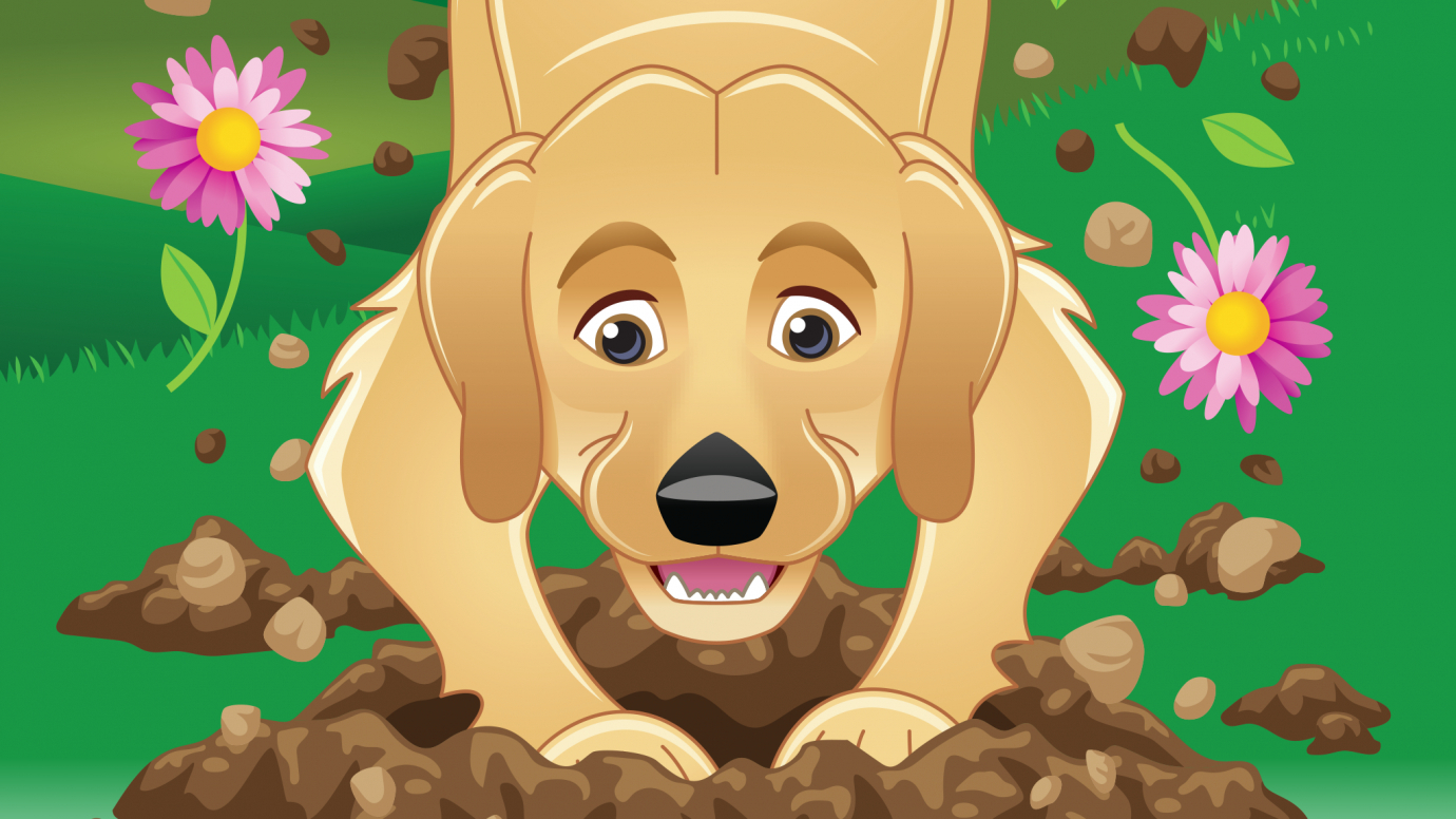 Charlie Digs: Kindergarten Quiz