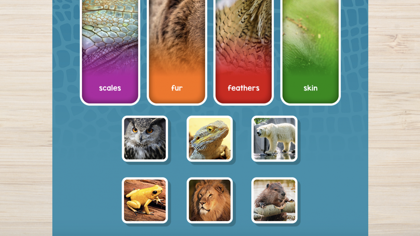 Critter Quiz