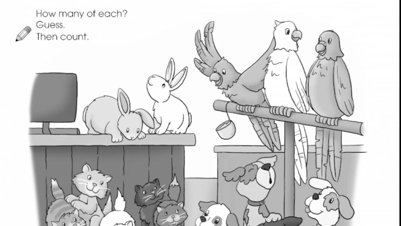 Estimating: 1 - 5 Pet Store