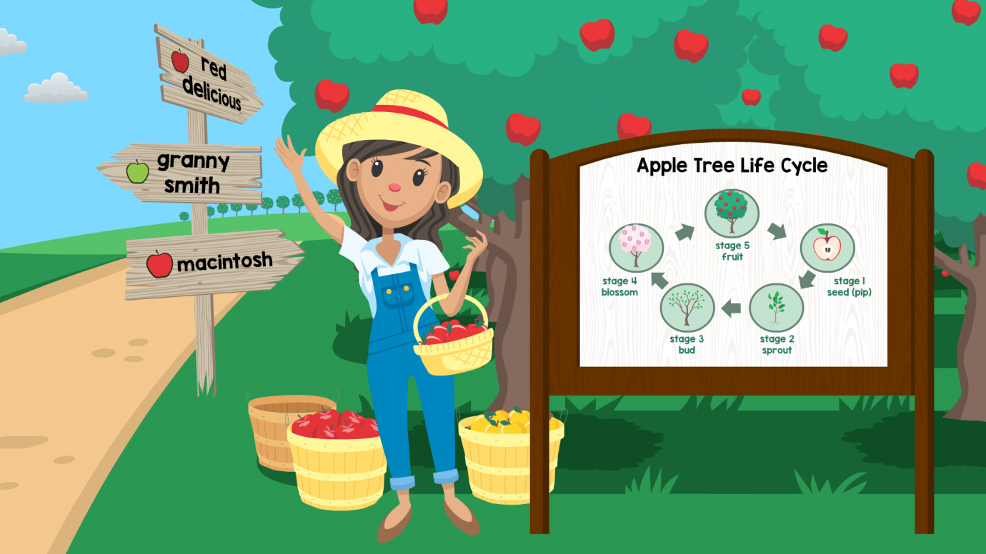 Exploring Nature: The Life Cycle of Apple Trees