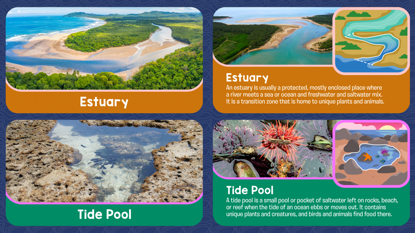 Geography Flash Cards: Bodies of Water