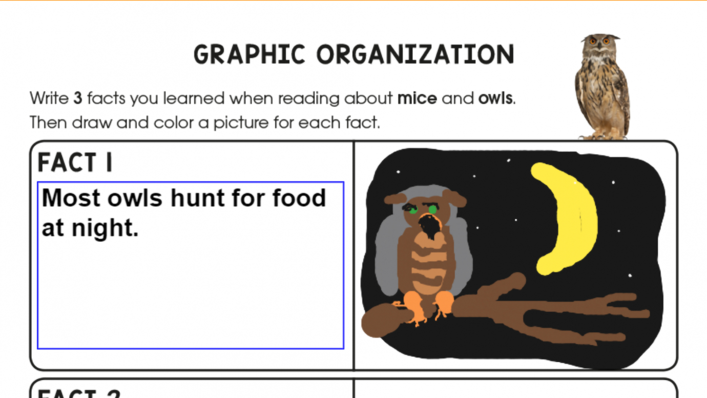 Write & Draw Some Facts: 1st