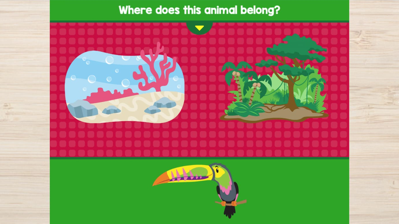 Animal Habitats with Charlie - P