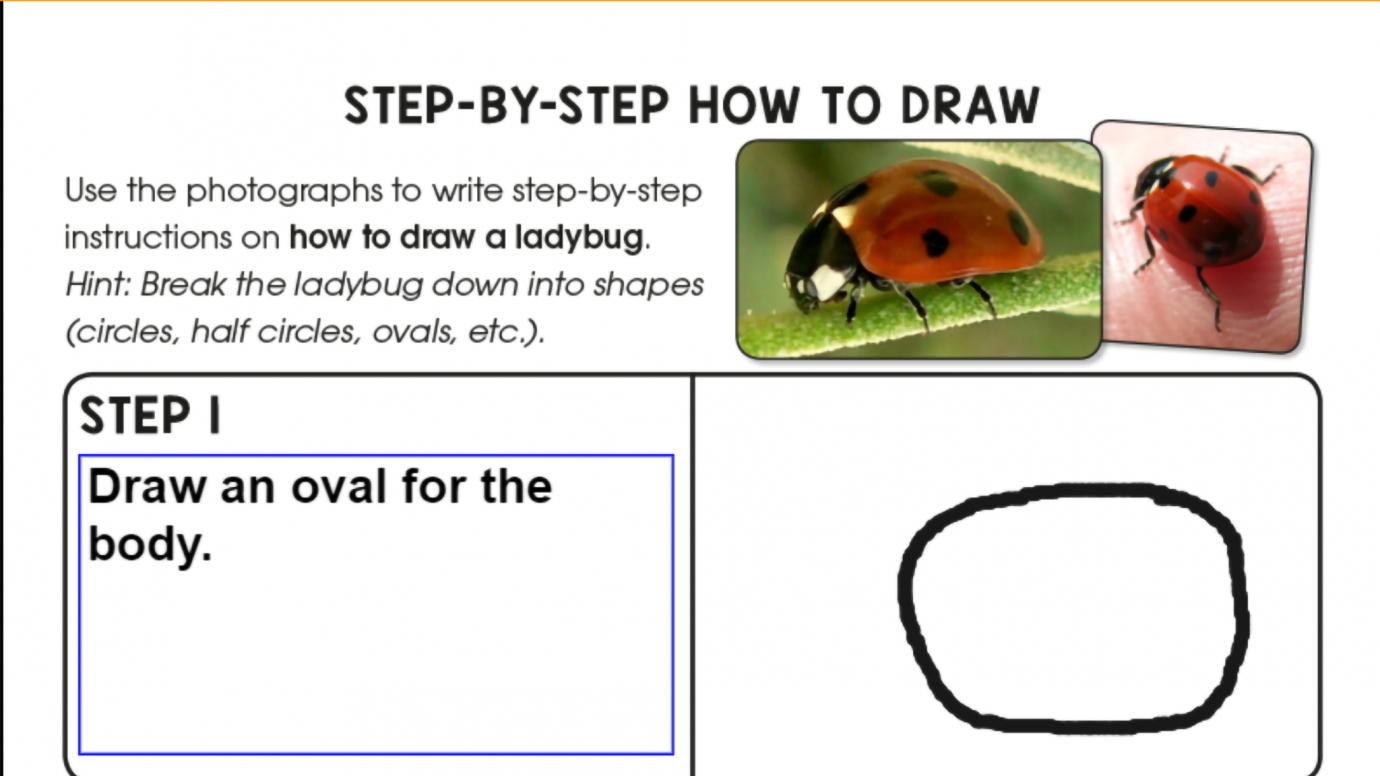 Write and Illustrate How-to-draw a Ladybug: 1st