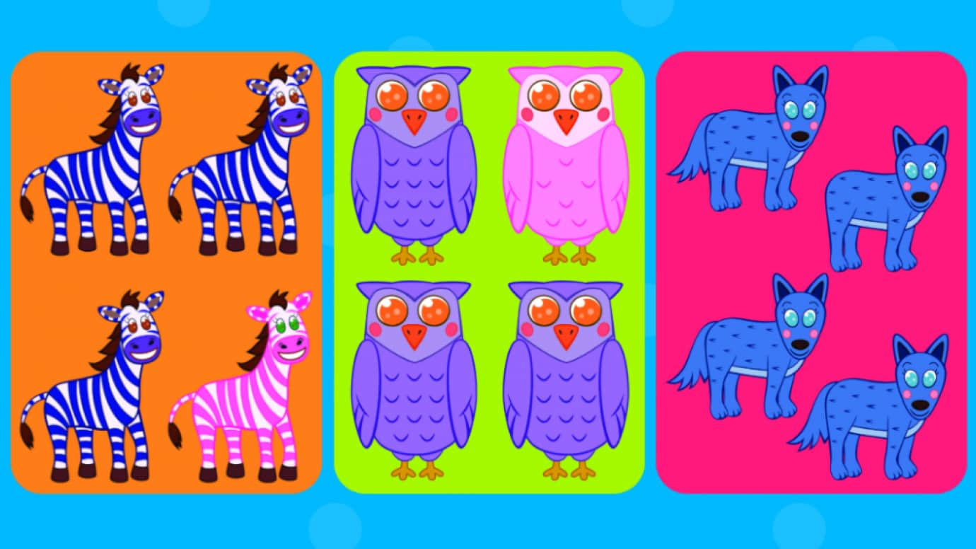 I Try Same or Different Flash Cards