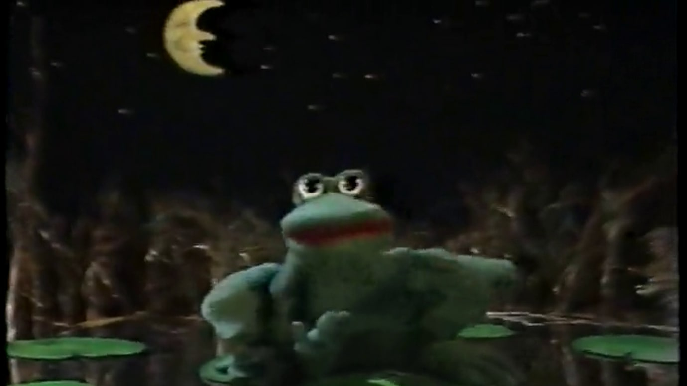 The Philosophical Frog