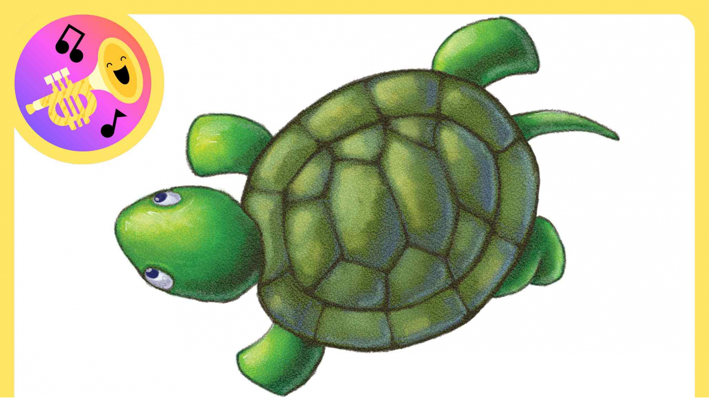 The Turtle Song