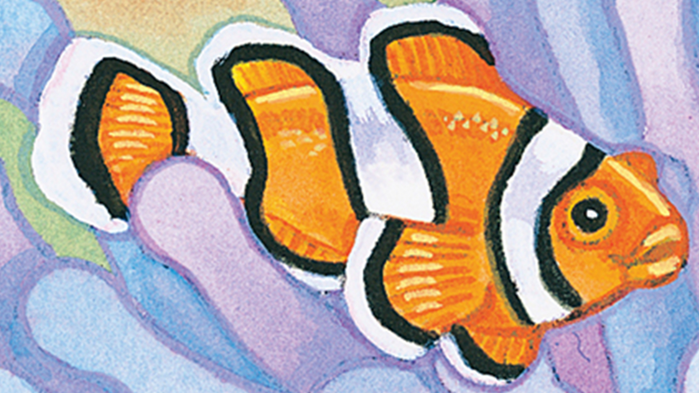 Underwater: Kindergarten Quiz