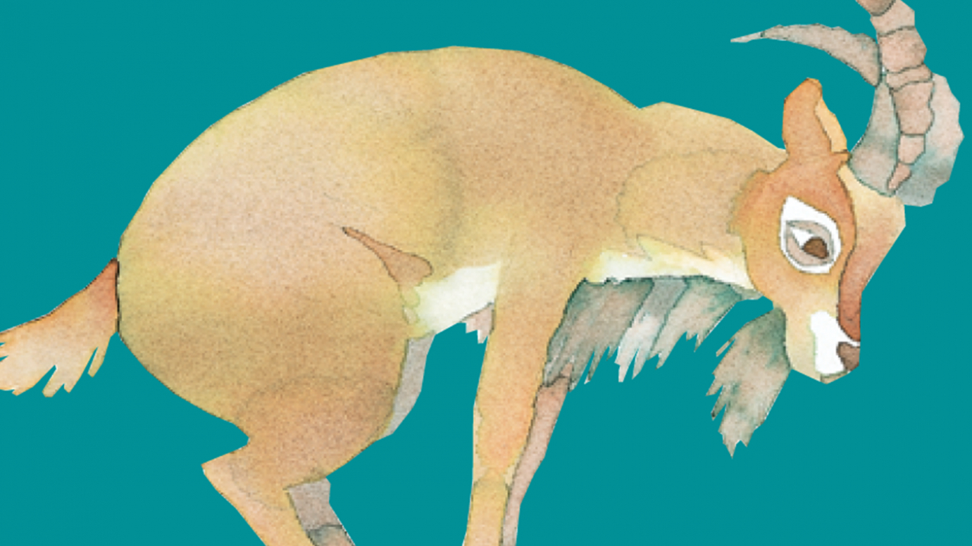 Up Went the Goat: Preschool Quiz