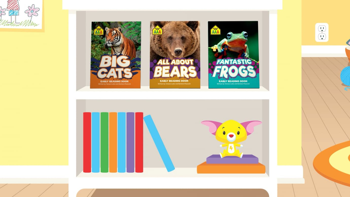Learning About Books Non-Fiction: Kindergarten