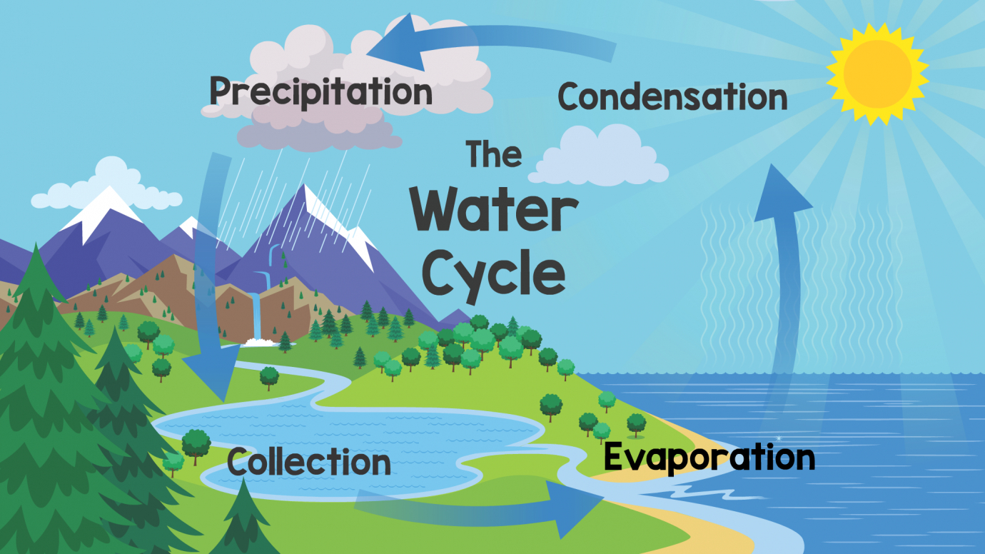 Exploring Nature: The Water Cycle