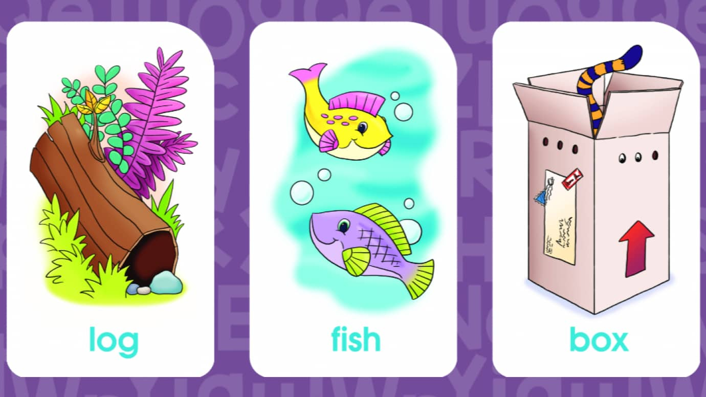 Word Families Flash Cards