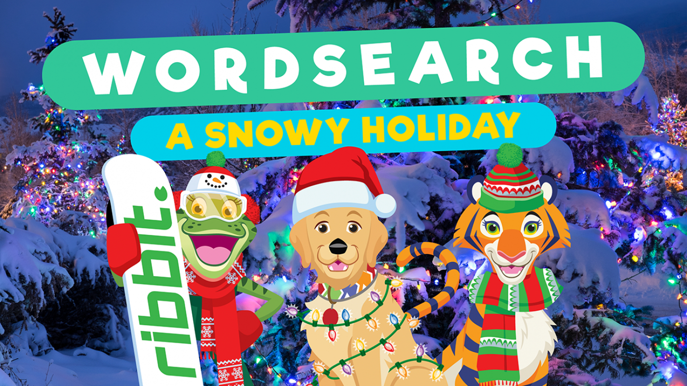 Wordsearch: A Snowy Holiday